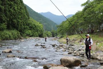 6月6日 小田原川 アユの友釣り解禁の写真