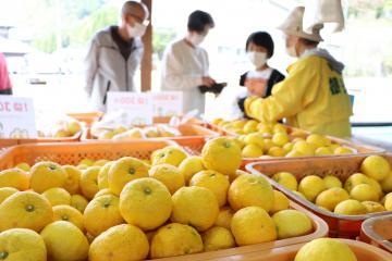 10月31日 根宇野ゆず直売所オープンの写真