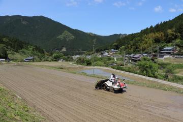 5月8日 田植えシーズン到来の写真