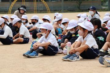 5月19日 神崎小学校 交通安全教室の写真3