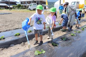 6月2日 銀馬車かぼちゃの植え付け体験の写真3