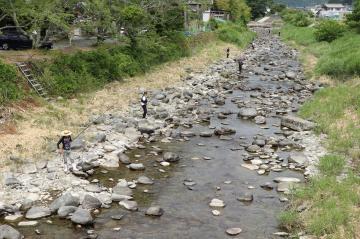 6月5日 小田原川 アユの友釣り解禁の写真