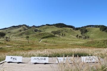 10月2日 砥峰高原でススキの見頃始まるの写真