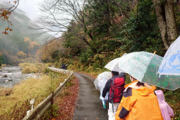 11月23日 長谷駅紅葉ウォーキングの写真2