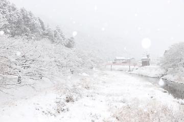 1月25日 神河町も雪景色の写真