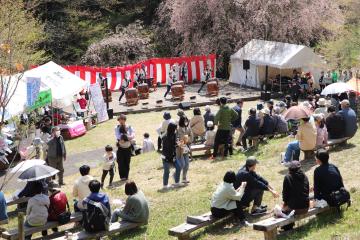 4月9日 かみかわ桜の山 桜華園 さくらまつりの写真1