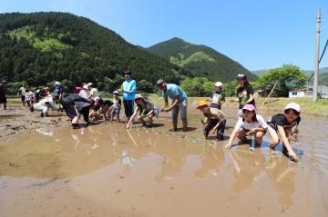 5月9日 長谷小学校 田植え体験の写真2