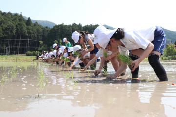5月17日 神崎小学校 田植え体験の写真2