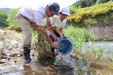 6月20日 長谷小学校 アユの放流の写真1