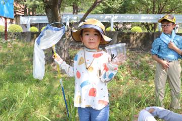 7月27日 きらきら★夏の宿題応援イベント 知ってる？昆虫のはなしの写真1