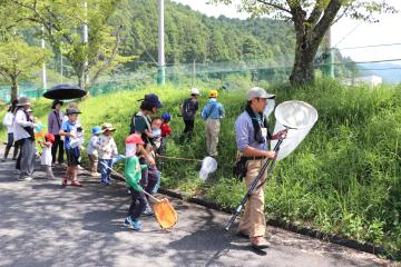 7月27日 きらきら★夏の宿題応援イベント 知ってる？昆虫のはなしの写真2