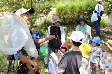 7月27日 きらきら★夏の宿題応援イベント 知ってる？昆虫のはなしの写真3