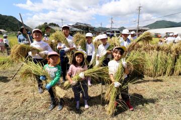 9月7日 神崎幼稚園・小学校 稲刈り体験の写真3