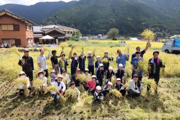 9月12日 長谷小学校 稲刈り体験の写真3