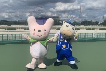 9月13日 園田競馬場 神河町カーミン特別の写真