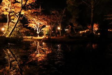 11月16日 福本藩池田家陣屋跡庭園ライトアップの写真