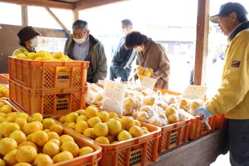 11月23日 根宇野ゆず祭りの写真2