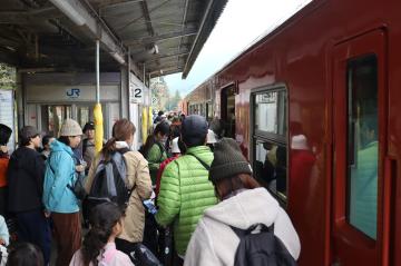 11月23日 長谷駅を私たちで守ろう 紅葉ウォーキングの写真2