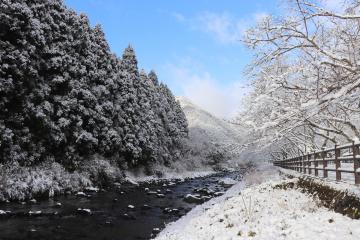 1月25日 神河町も雪景色の写真