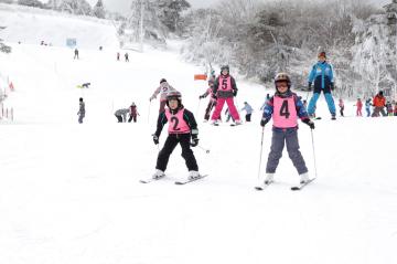 2月8日 神河町内小学校1・4年生 ふるさと冬の自然体験の写真4