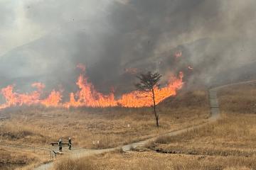 3月17日 砥峰高原山焼きの写真1