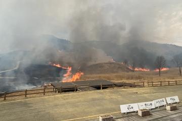 3月17日 砥峰高原山焼きの写真2