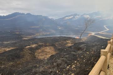 3月17日 砥峰高原山焼きの写真3