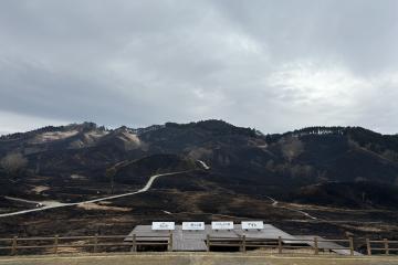 3月17日 砥峰高原山焼きの写真4