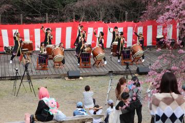 3月31日 かみかわ桜の山 桜華園 さくらまつりの写真1