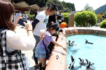 5月3日 ゴールデンウィーク ヨーデルの森の写真2