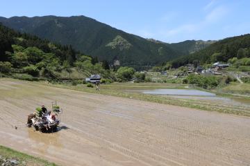 5月5日 田植えシーズン到来の写真