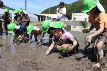 5月8日 神崎保育園 どろんこ遊び・田植え体験の写真1