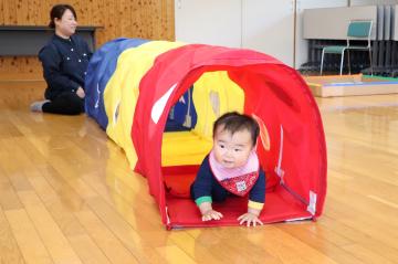 5月14日 おひさまタイム こいのぼりがいっぱいの写真2
