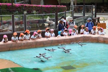 5月15日 寺前幼稚園 春の遠足の写真3