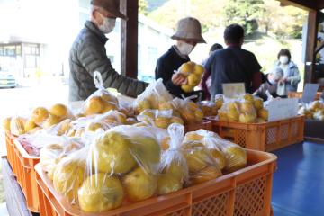 11月1日 根宇野ゆず直売所オープンの写真