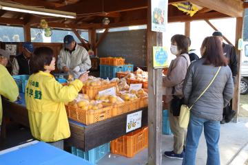 11月23日 根宇野ゆず祭りの写真2