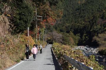 11月23日 長谷駅紅葉ウォーキングの写真3