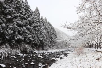 1月22日 神河町も雪景色の写真