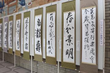 2月28日 神河シニアカレッジ作品展・芸能発表会の写真4