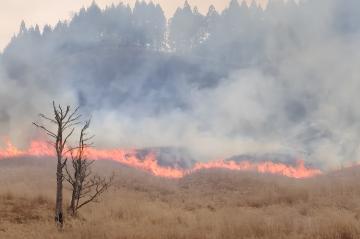 3月22日 砥峰高原山焼きの写真3