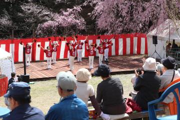4月5日 かみかわ桜の山 桜華園 さくらまつりの写真1