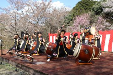 4月5日 かみかわ桜の山 桜華園 さくらまつりの写真3