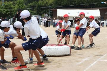 6月6日 神崎幼稚園・小学校合同運動会の写真4