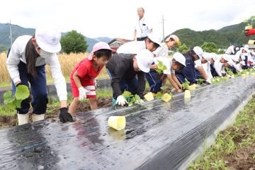6月9日 銀馬車かぼちゃの植え付け体験の写真1