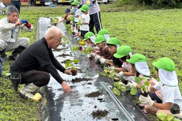 6月9日 銀馬車かぼちゃの植え付け体験の写真4