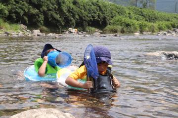 7月22日 長谷の川であそぼうの写真1