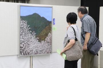 9月4日 第21回神河町美術展の写真3