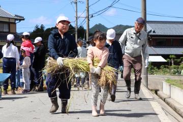 9月17日 神崎幼稚園・小学校 稲刈り体験の写真1