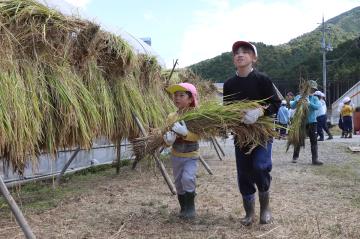 9月17日 神崎幼稚園・小学校 稲刈り体験の写真4