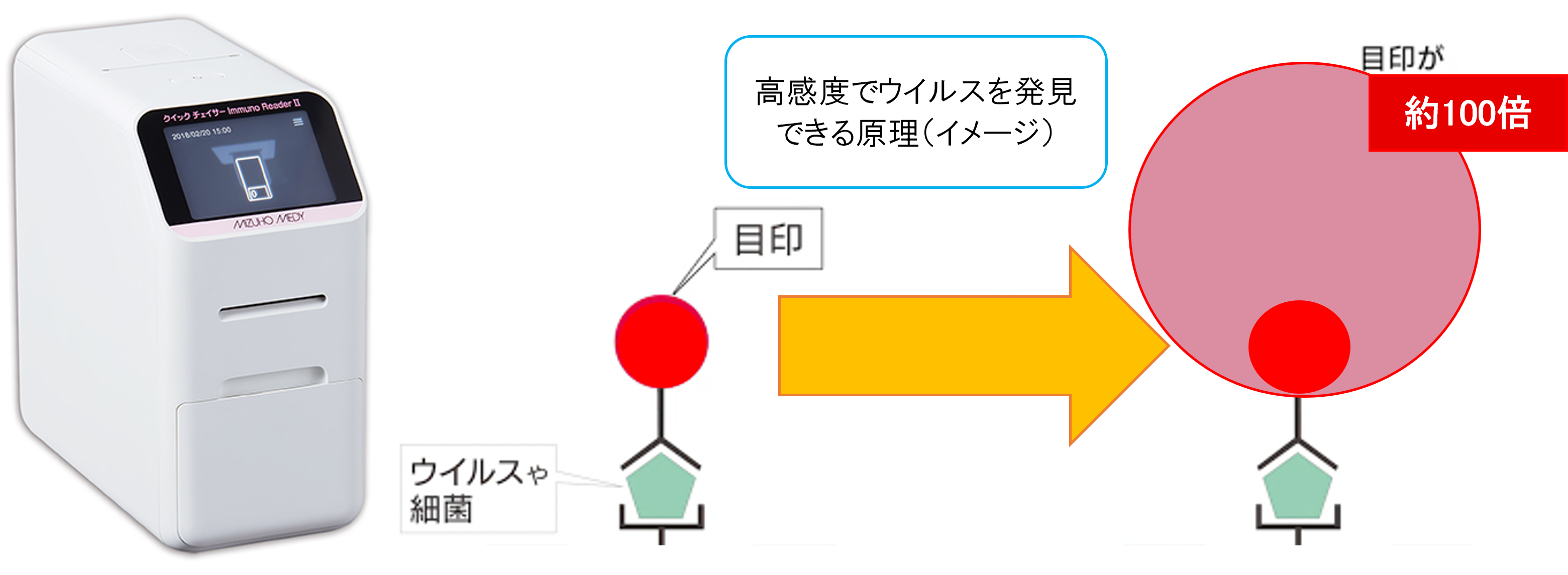 インフルエンザ検査についての画像